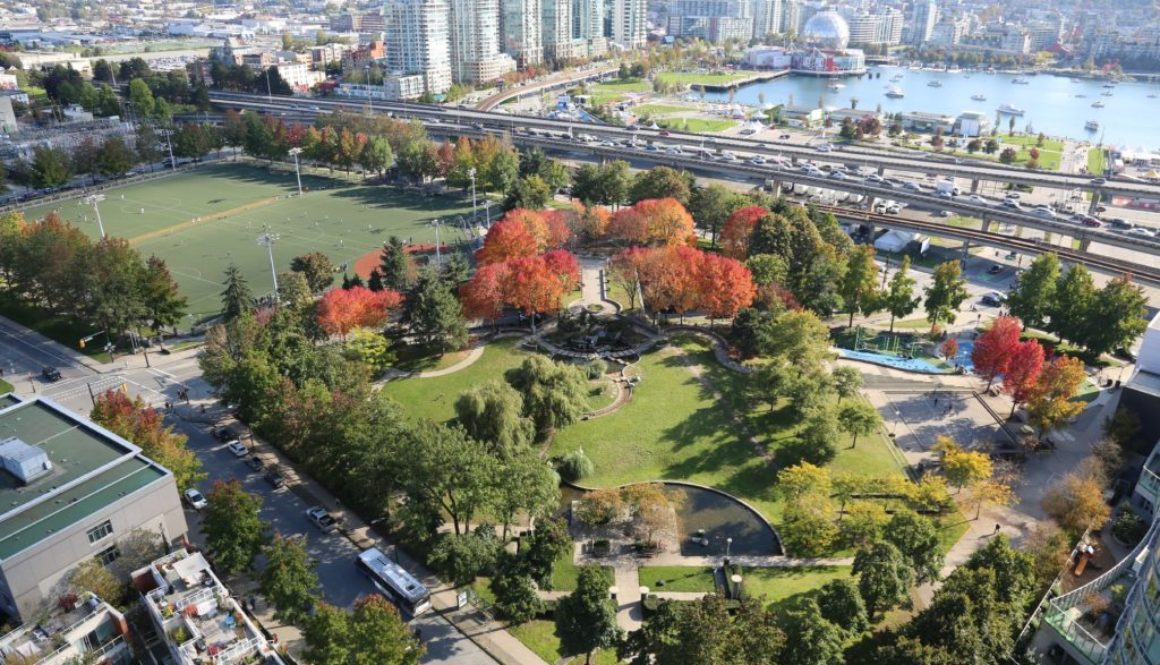 ALP and False Creek fall colours
